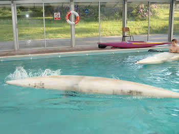 Pool kayaking - eskimo roll