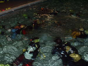 Scuba diving